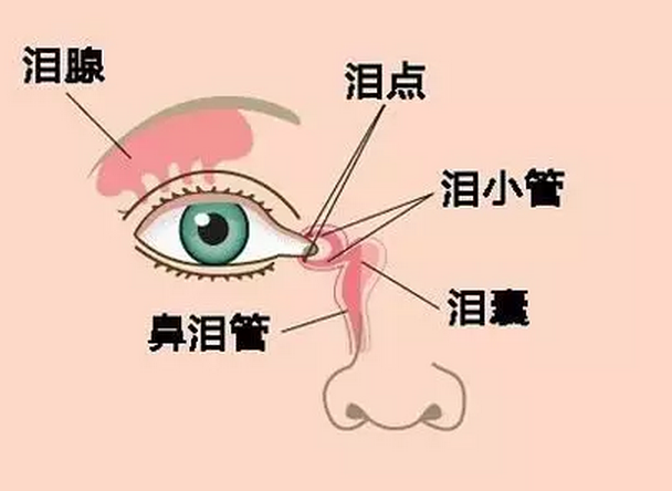 【迎风流泪是病】鼻内窥镜泪道手术